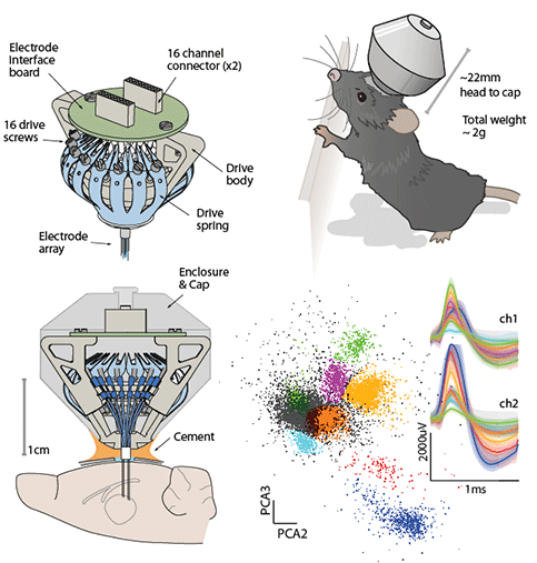 GitHub - open-ephys/onix-headstage-neuropix1: Serialized