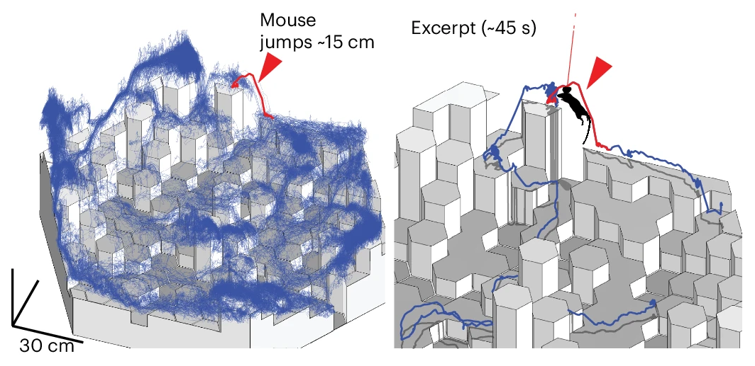 crop of figure 3 from "ONIX: a unified open-source platform..."