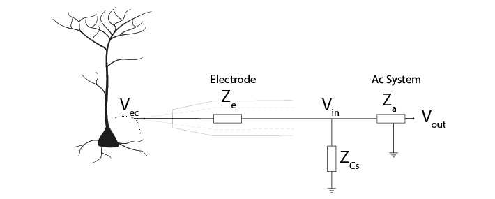 equivalent circuit of electrode, shunt capacitance and acquisition system with each component represented as an impedance.