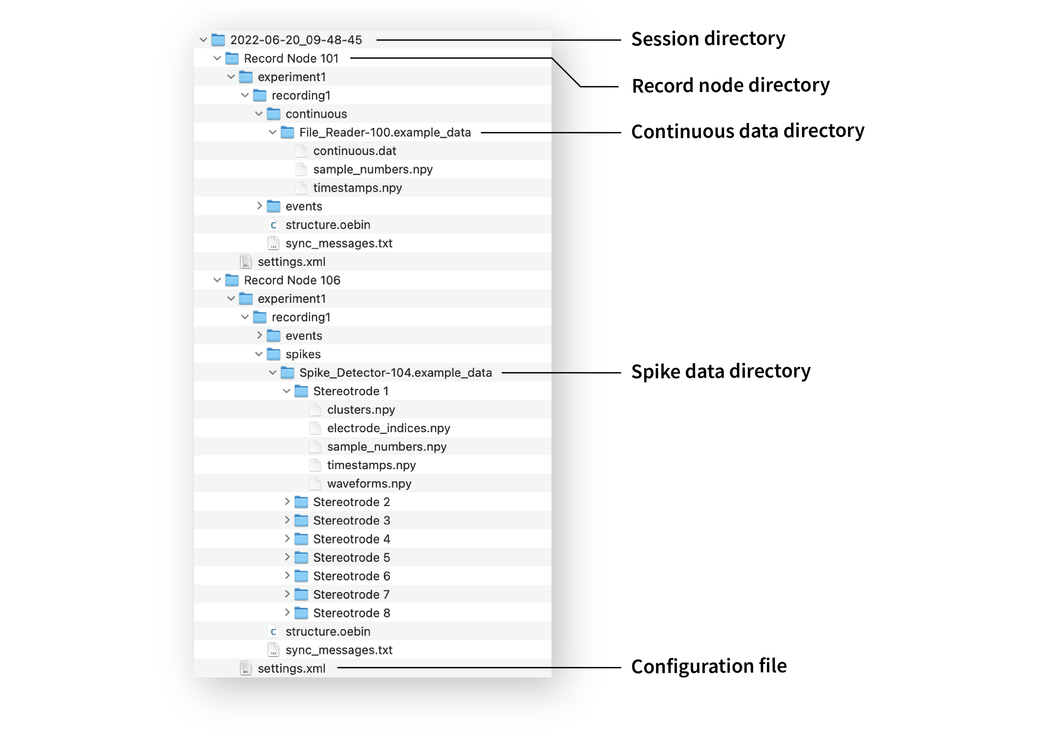 Open Ephys data directory structure