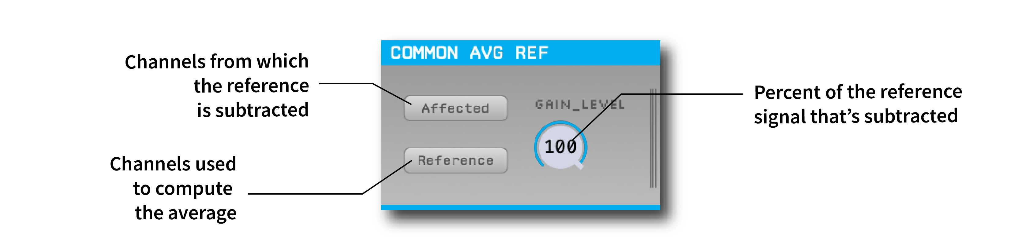 Annotated Common Average Reference settings interface