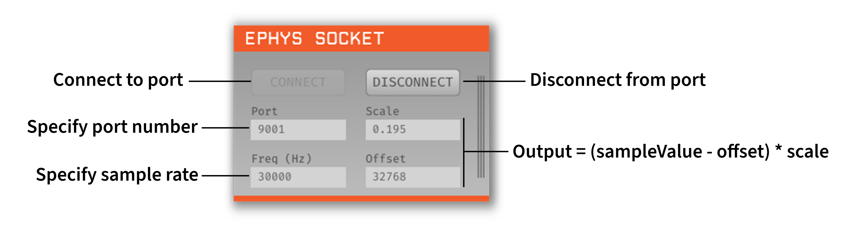 Annotated Ephys Socket Editor