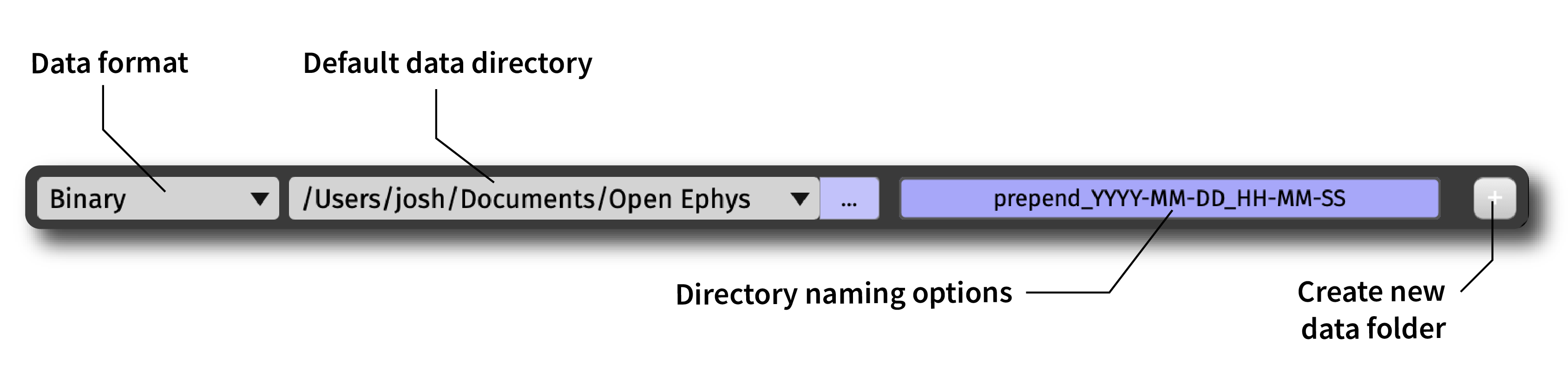 The global recording options interface