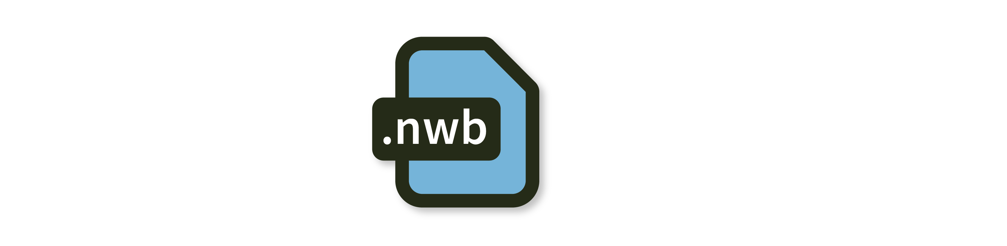 NWB data file icon