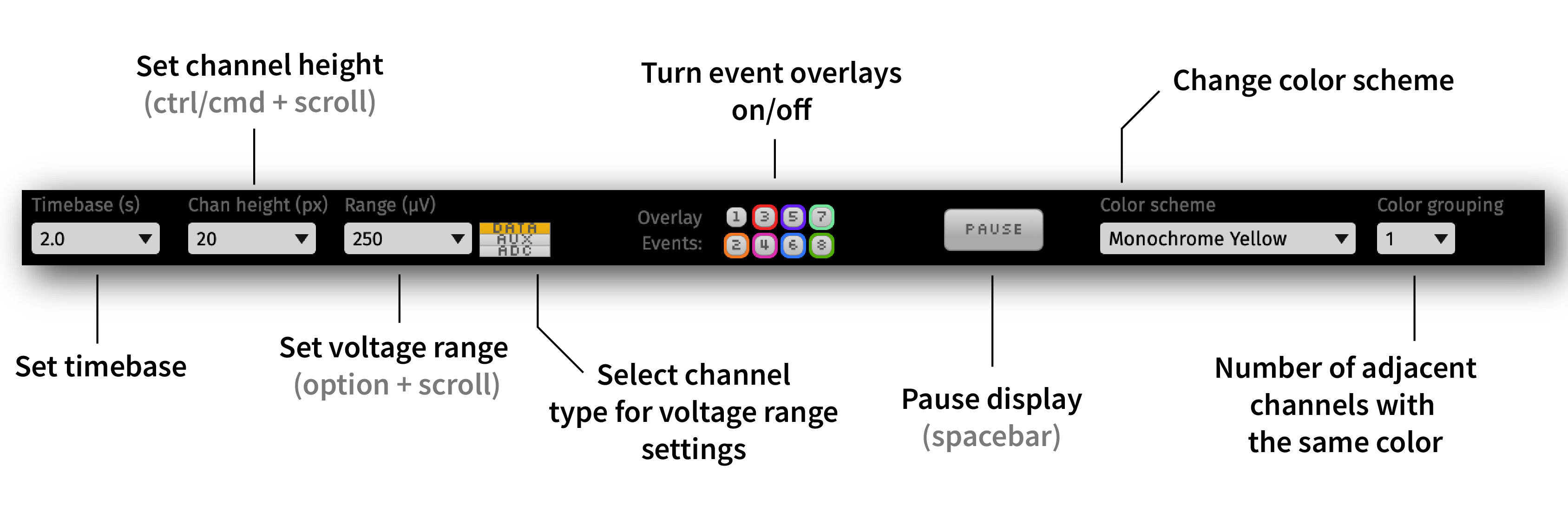 LFP Viewer settings