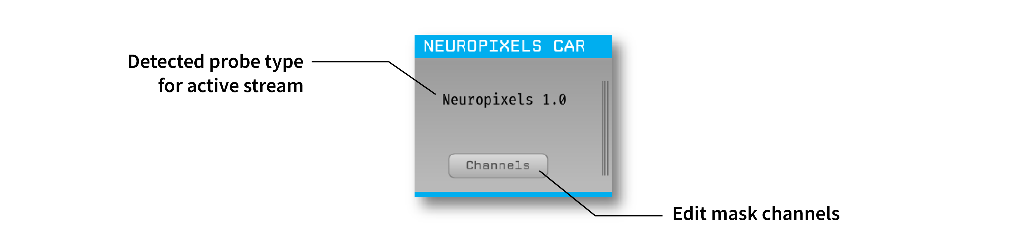 Annotated Neuropixels CAR editor