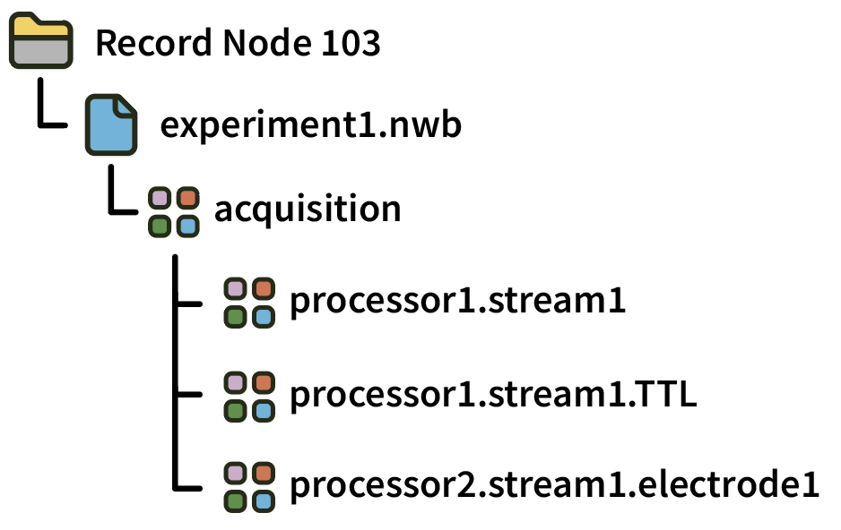NWB data file structure