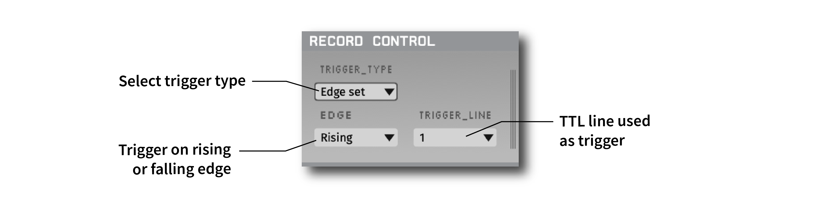 Annotated Record Control editor