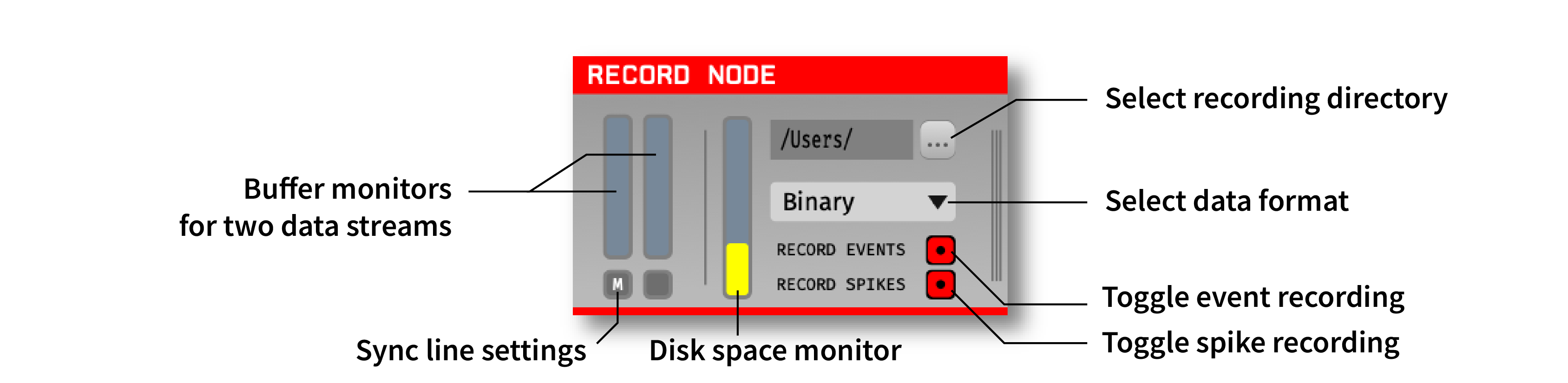 Annotated settings interface for the Record Node plugin