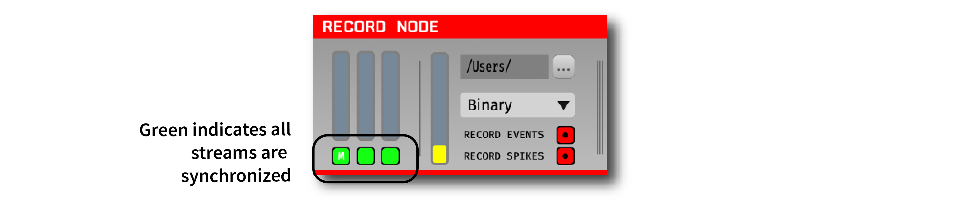 View of the record node when synchronized
