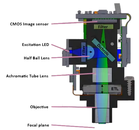 image of excitation light and emission light through the UCLA Miniscope v4's optical system